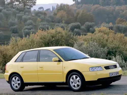 A3
