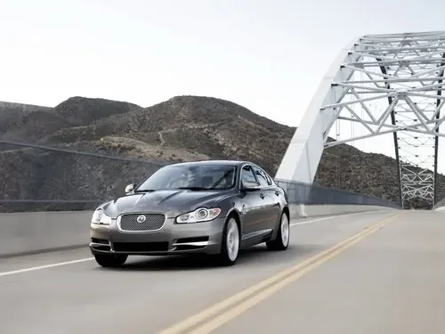 XF